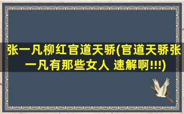 张一凡柳红官道天骄(官道天骄张一凡有那些女人 速解啊!!!)